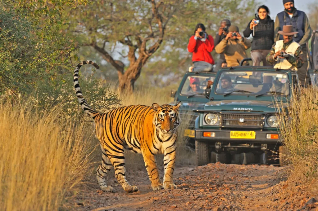 jim corbett national park tickets