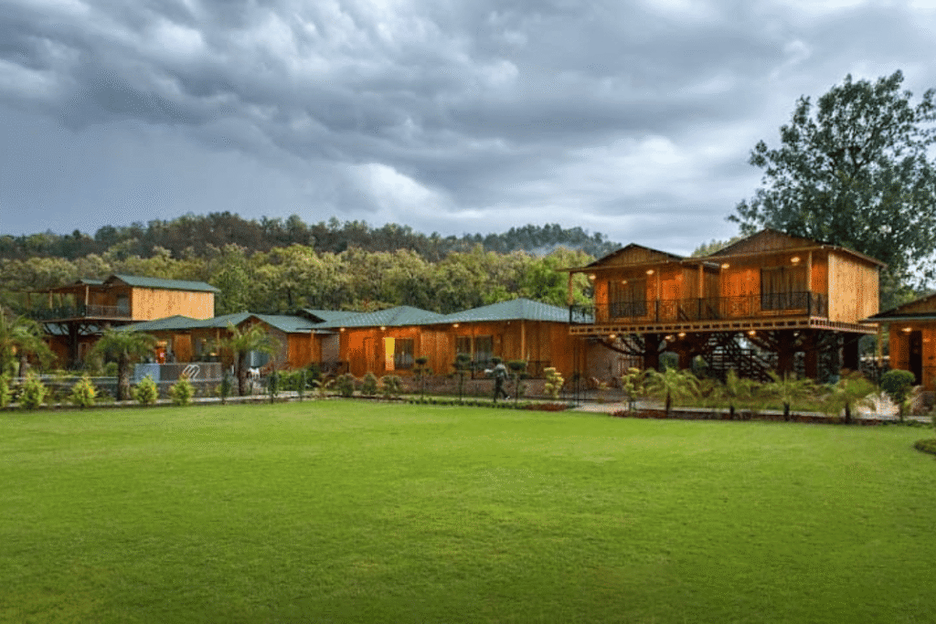 The JJ Corbett Bliss