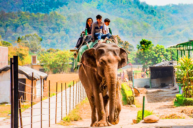 jim corbett national park packages