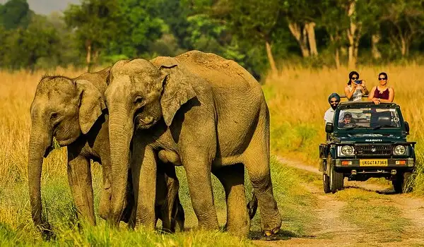 Jim Corbett National Park Packages from Delhi